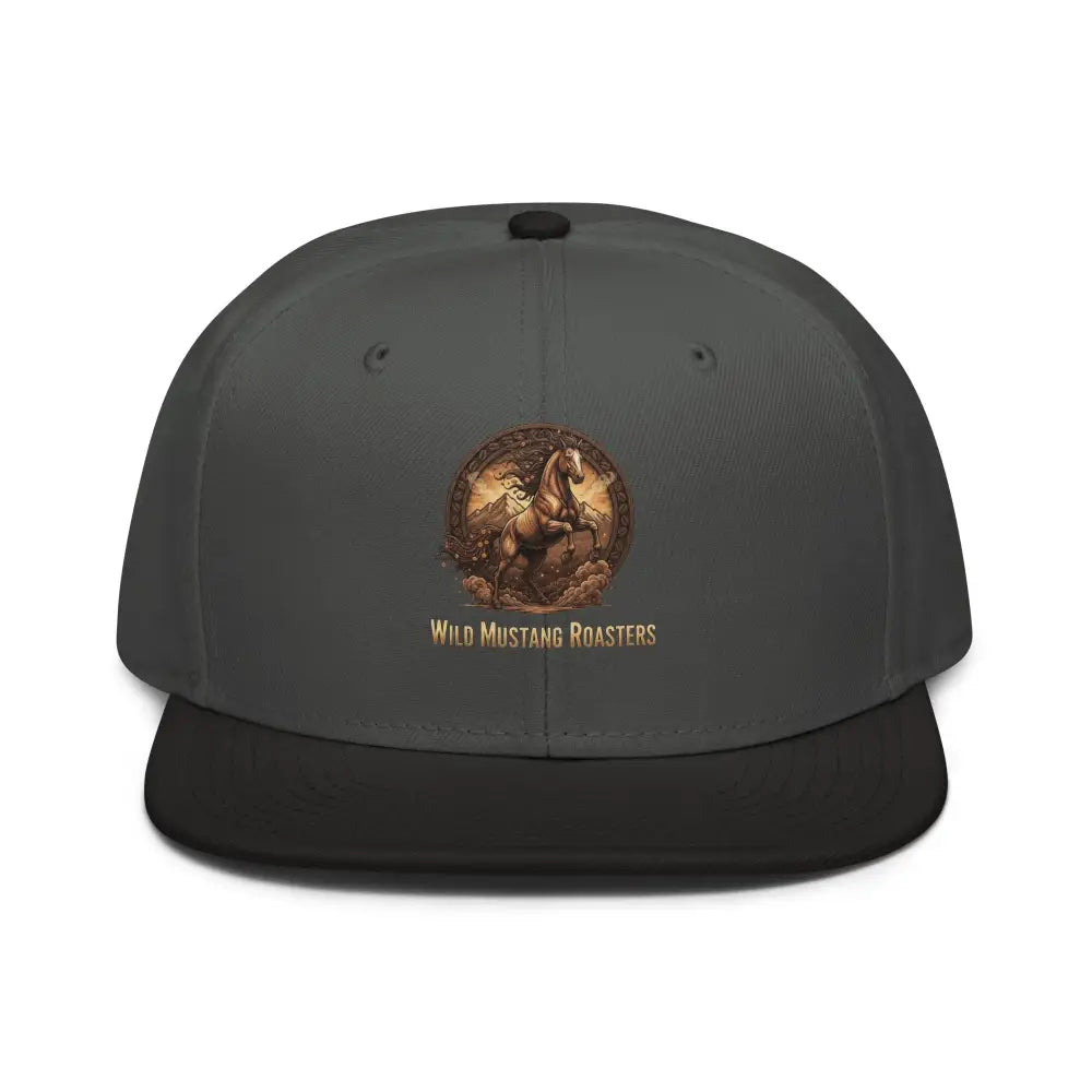 Snapback Hat - Black / Charcoal gray