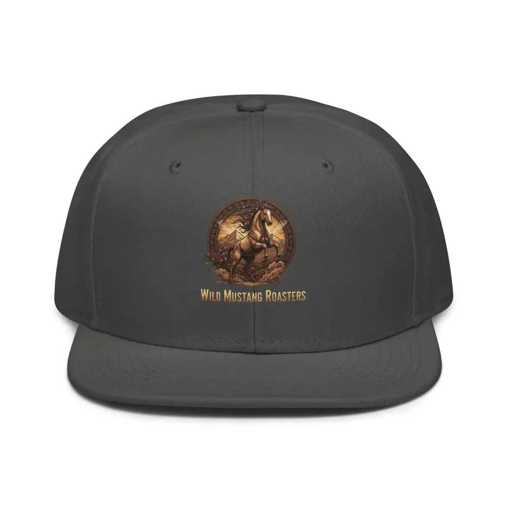 Snapback Hat - Charcoal gray